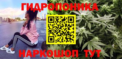 гашик Бузулук