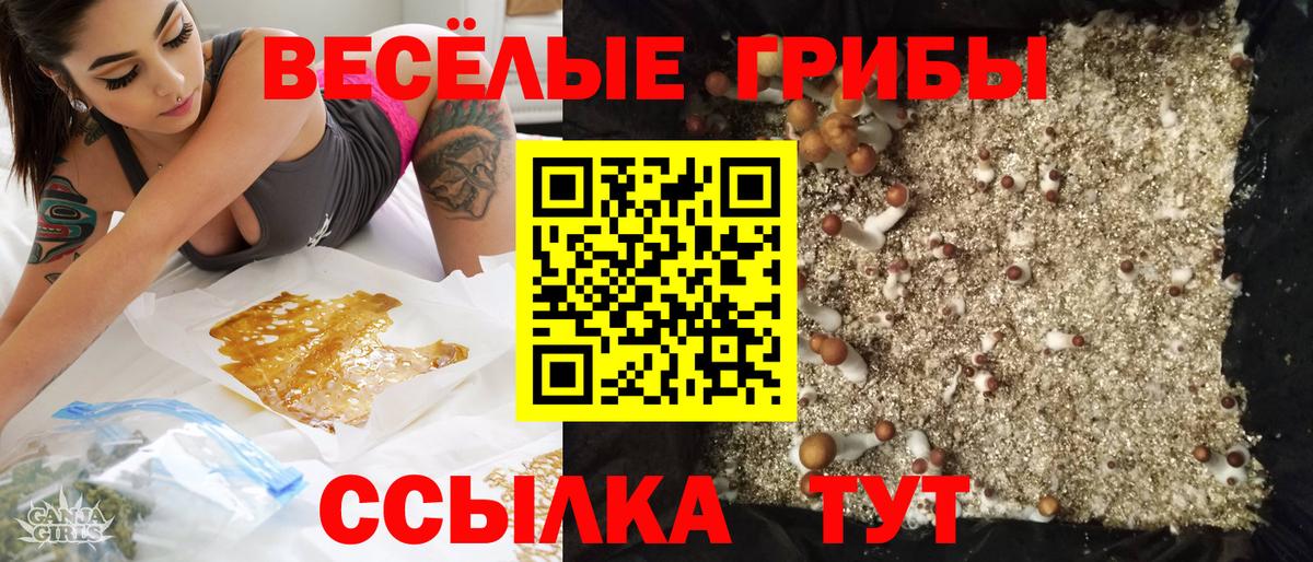 Псилоцибиновые грибы Psilocybine cubensis Тайшет