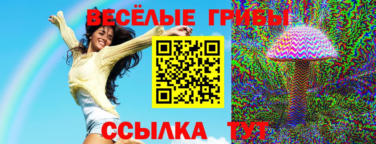 наркота  Вход с VPN  Тайшет  Галлюциногенные грибы GOLDEN TEACHER 